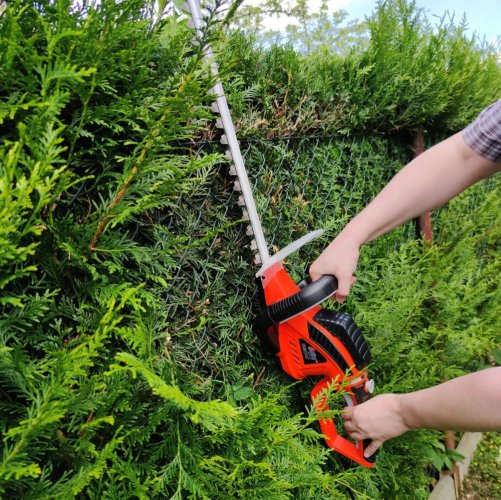 Nůžky na živý plot 620W ASIST AE9K62